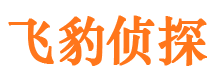 晋宁飞豹私家侦探公司